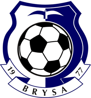 Blue Ridge YSA team badge